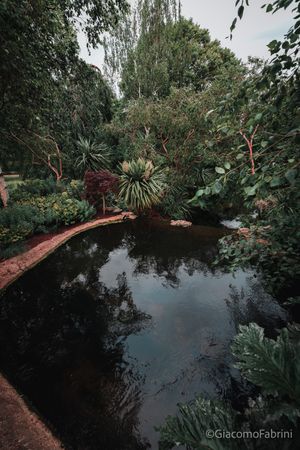 Tiny Oasis in Hyde Park